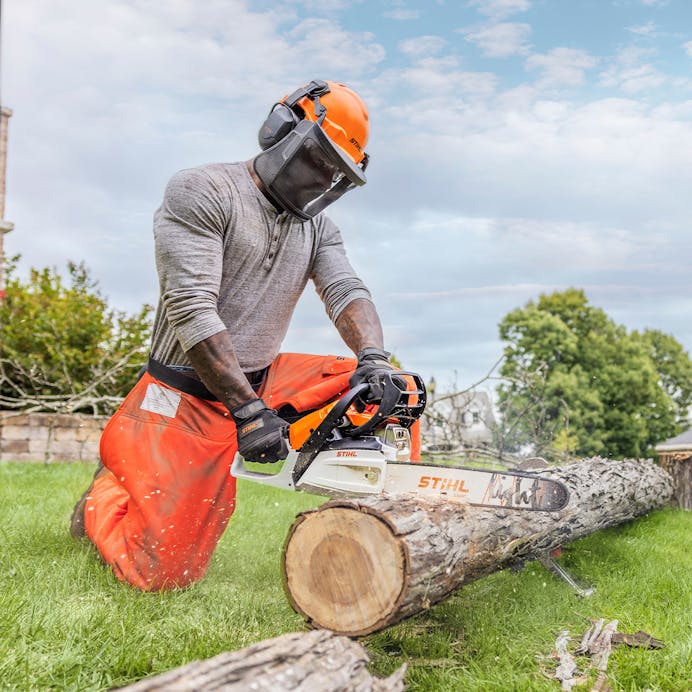 STIHL MS 162 chainsaw with 16-inch bar and chain - rear view